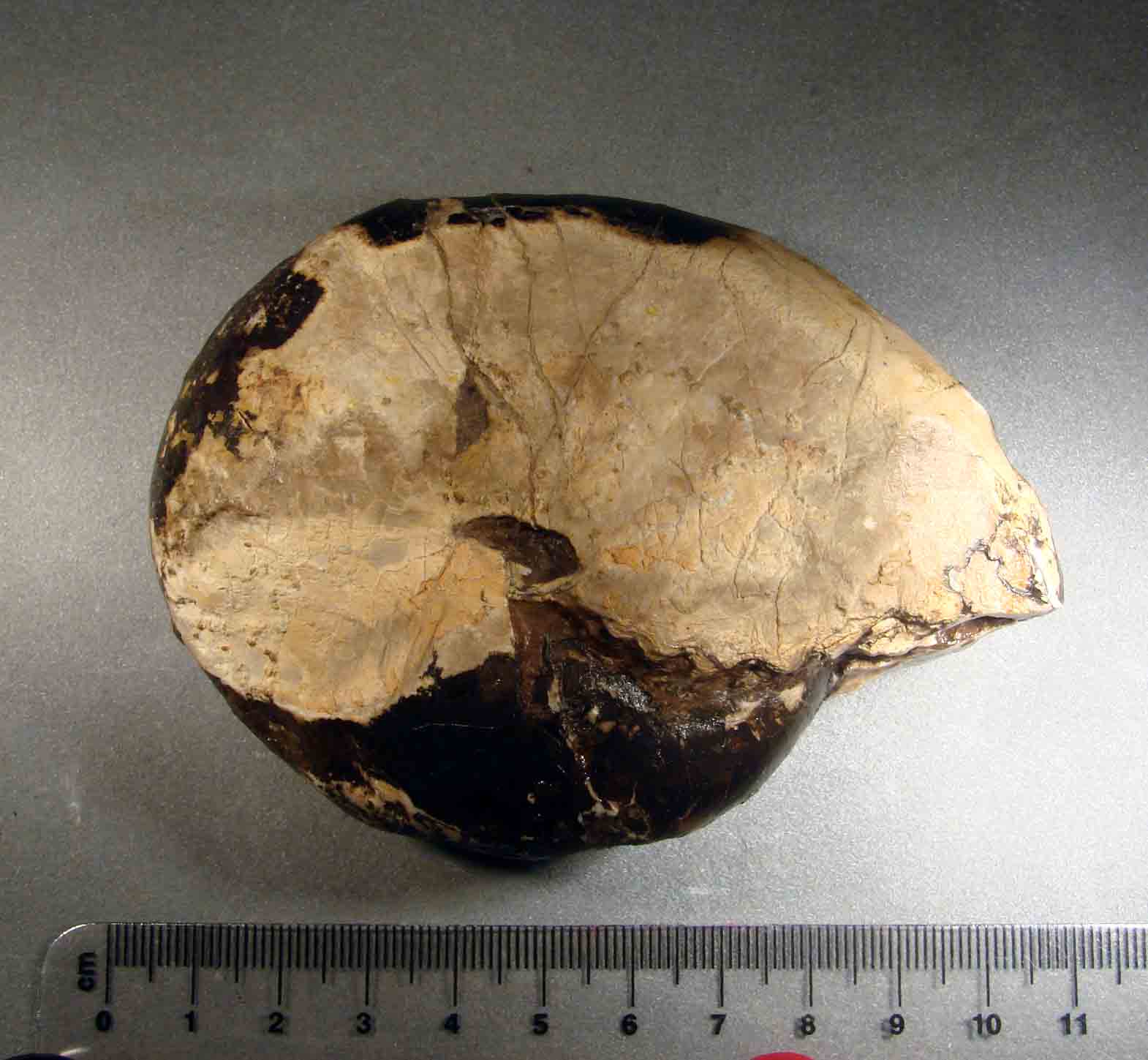 riconoscimento per.. esperti.